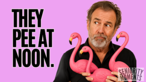 Flamingos